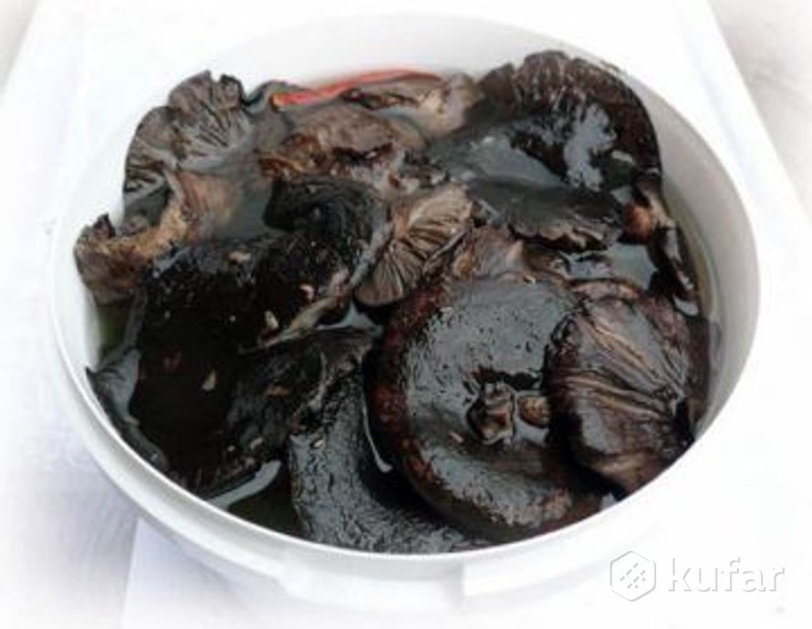 Грибы в кастрюле. Сваренные опята. Какие грибы необходимо замачивать 3-4 часа. Грибы которые замачивают. Гриб который вымачивают.